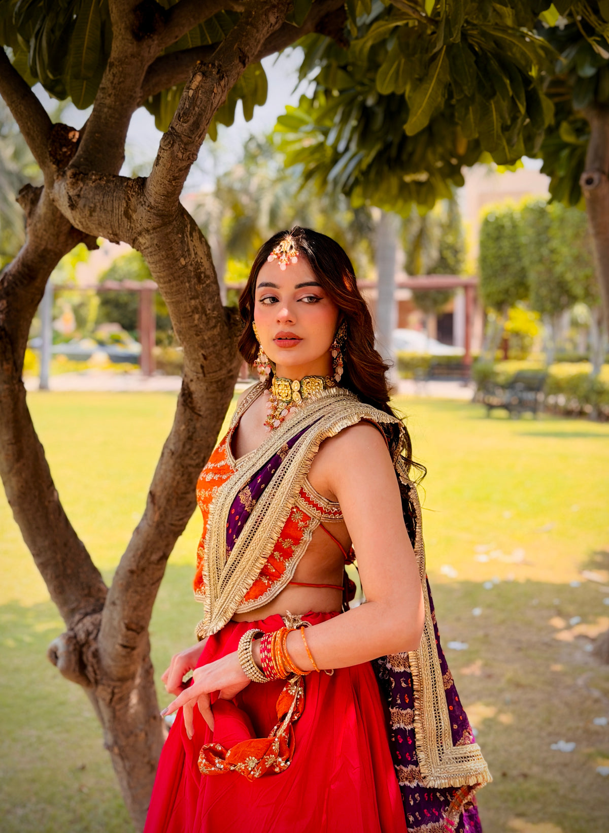 Rang Raas Lehenga Choli