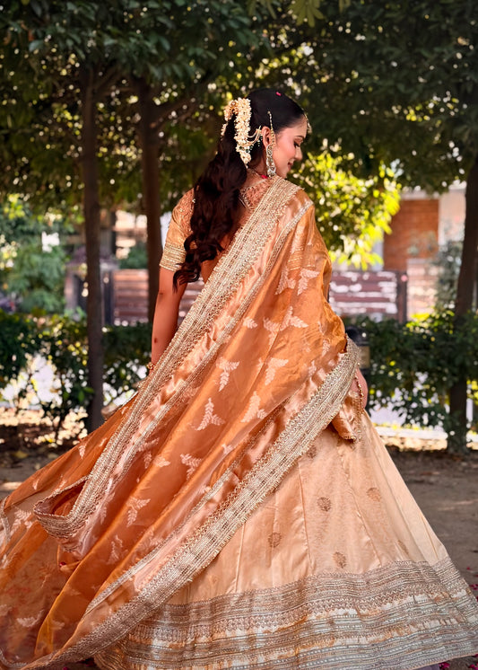 Riwaayat Lehenga Choli set