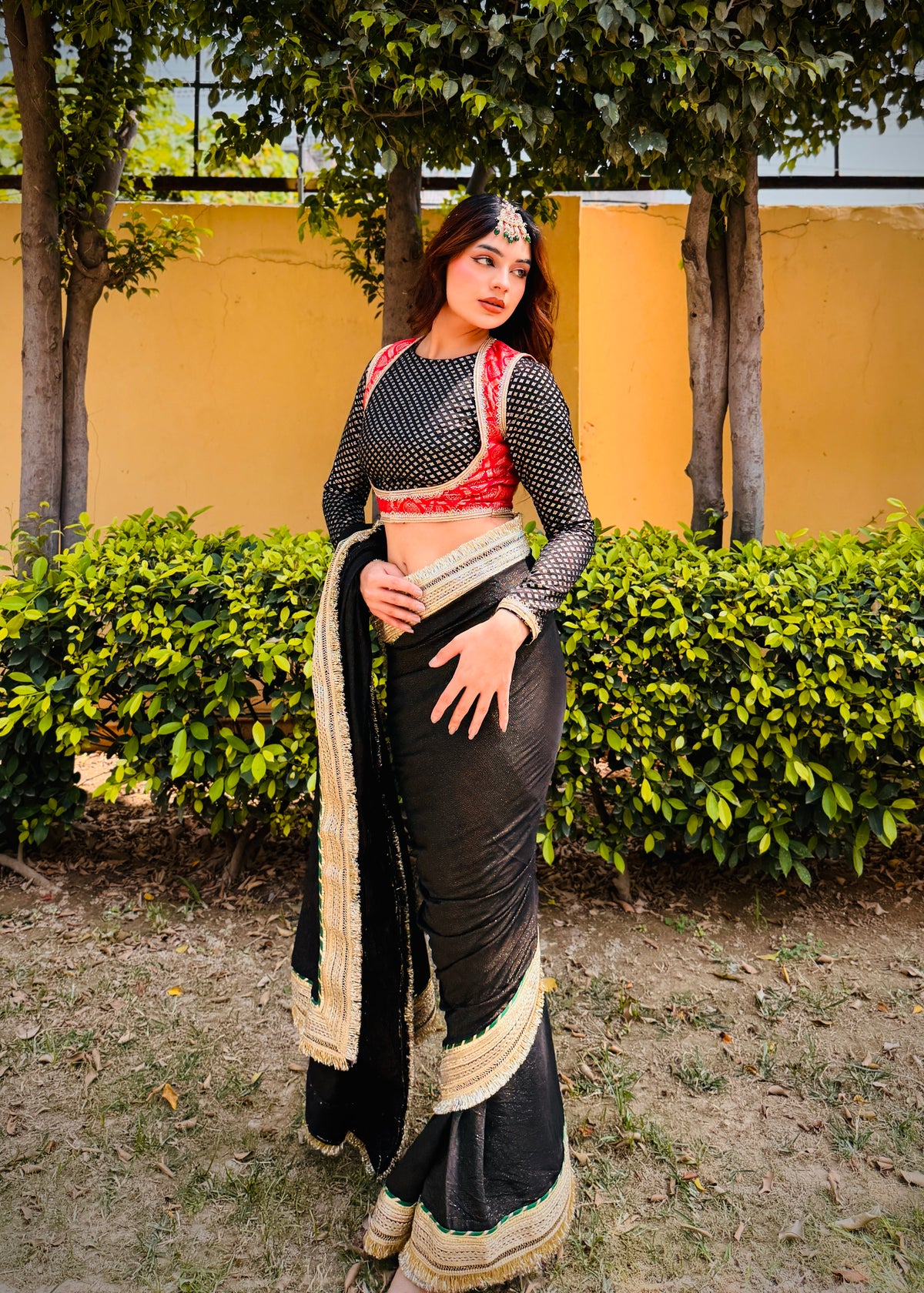 Nageena Saree
