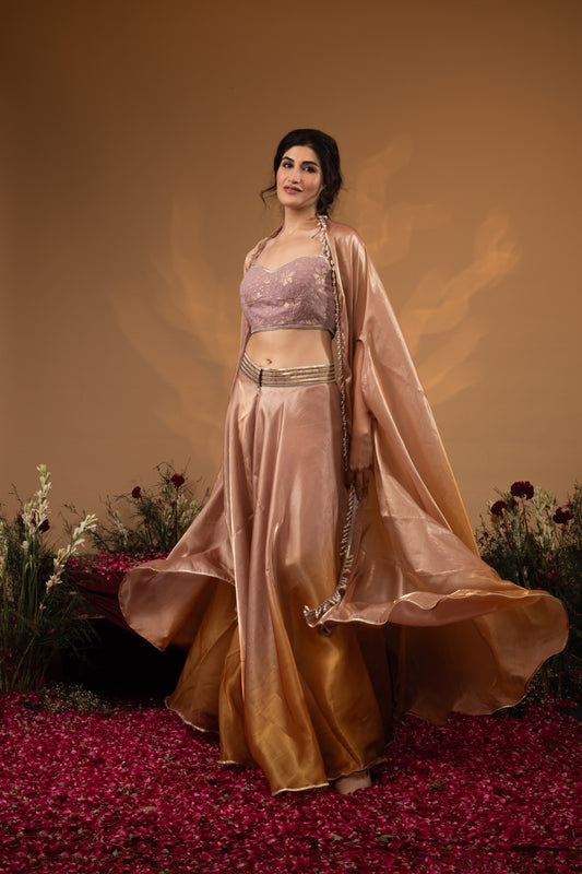 Ombre Silk Organza Cape Set